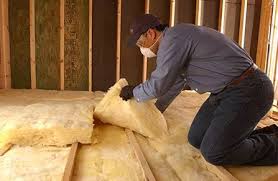 Best Eco-Friendly or Green Insulation Solutions  in Oak Point, TX